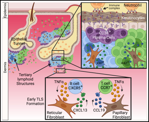 Waggoner Lab tweet media
