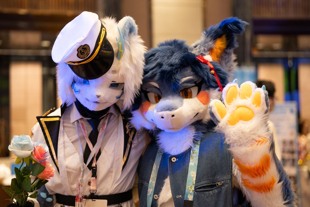 Cold（克洛） tweet media