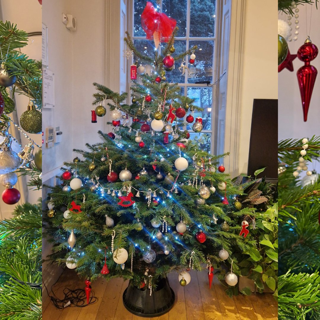 Some of our favourite trees around the hospice at this time of year 🎄