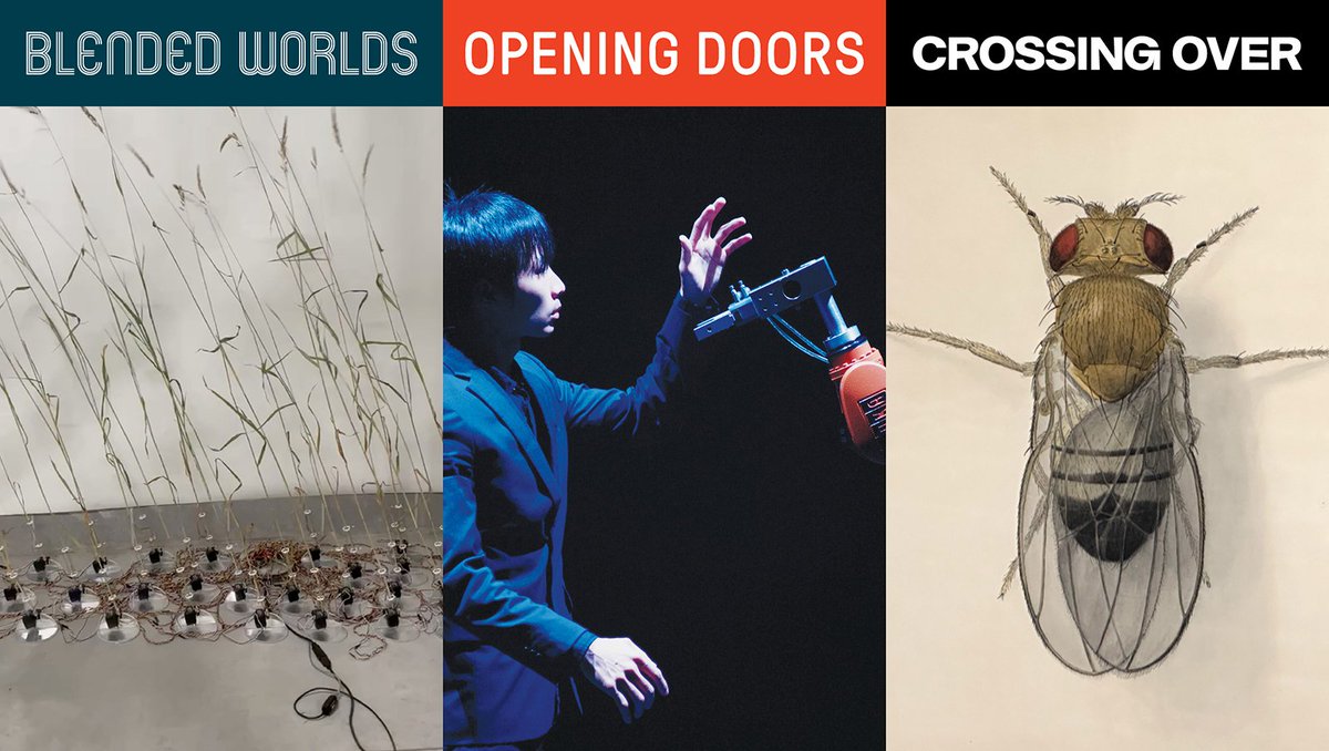 Caltech Events (@caltechlive) on Twitter photo Celebrate the many ways in which scientists and artists share in the creative process and innovation. Join the <a href="/CaltechArchives/">Caltech Archives and Special Collections</a>, <a href="/NASAJPL/">NASA JPL</a>, and CaltechLive for in-depth exploration and conversation at Caltech, part of Getty’s PST ART. More: More: events.caltech.edu/calendar/scien… Celebrate the many ways in which scientists and artists share in the creative process and innovation. Join the <a href="/CaltechArchives/">Caltech Archives and Special Collections</a>, <a href="/NASAJPL/">NASA JPL</a>, and CaltechLive for in-depth exploration and conversation at Caltech, part of Getty’s PST ART. More: More: events.caltech.edu/calendar/scien…