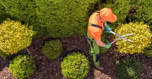 RutgersOCPE's tweet photo. Check out our landscape and grounds management courses and watch your landscape career grow. #RutgersOCPE #Landscaping #GroundsManagment
https://t.co/hiJWIUOyvv https://t.co/ffArCBVj2P