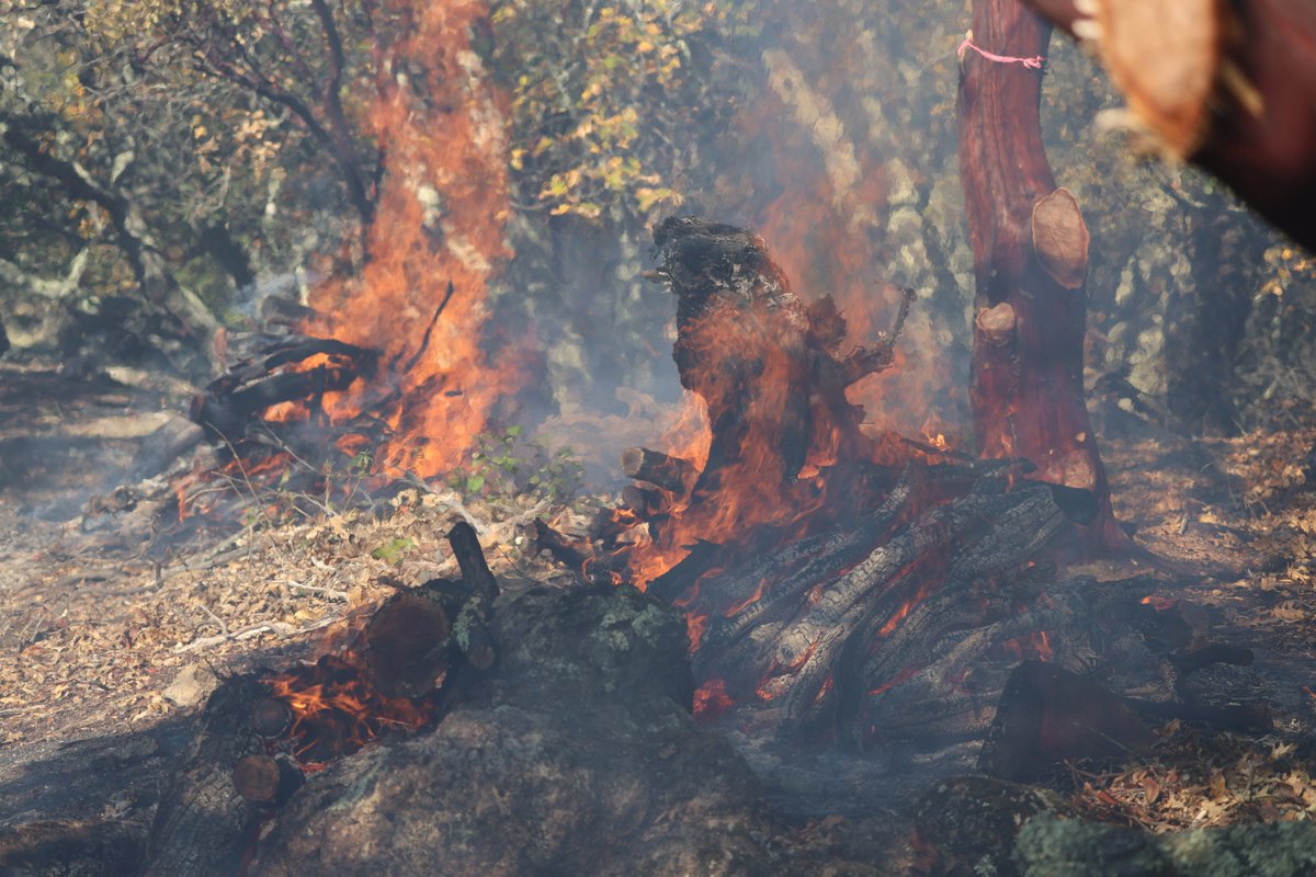 Firefighters from our Station 38 at Gordon Valley and our Fuels Reduction  Crew out of Davis are working in Solano County this week conducting pile  burning operations in Green Valley. The work