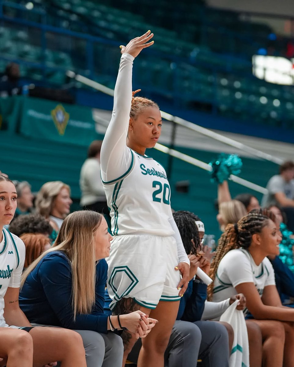 OneSeahawk Collective tweet media