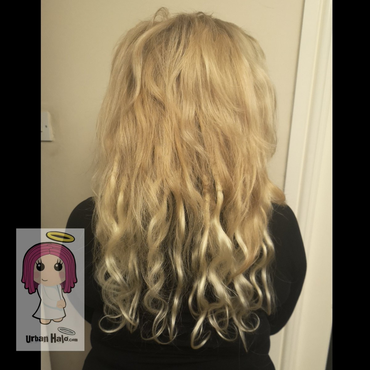 Urban_Halo's tweet image. Gorgeous white blonde waves for Adele's #dreadlock extensions.
These will drop, soften &amp;amp; sit naturally in a few days &amp;amp; looks lovely under her own multi-tonal blonde hairstyle. ❤️😇👌

#urbanhalouk #dreads #curlydreads  #humanhair #blonde #partialdreads #dreadlove #dreadlife #fyp