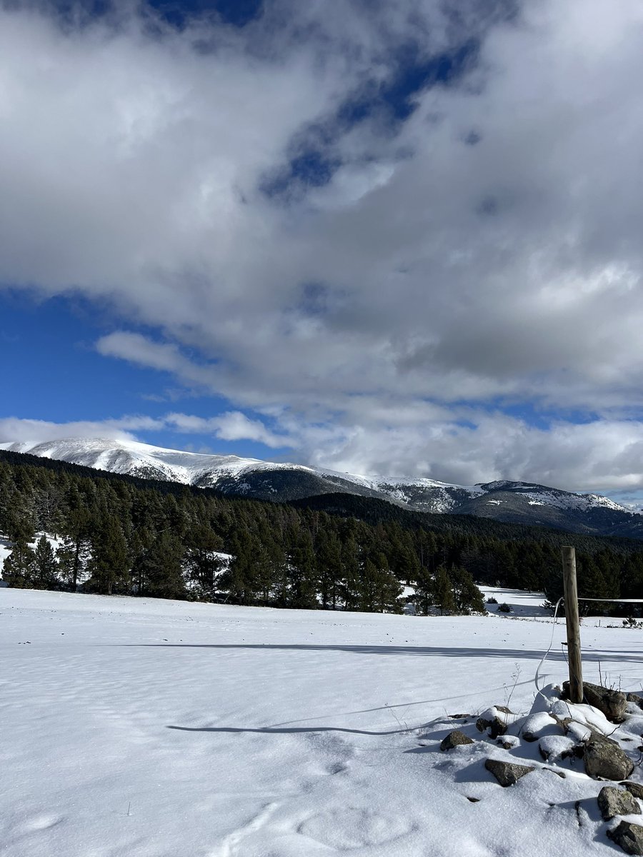 laurafabrega7's tweet photo. Avui hem anat a xafar neu 🥰❄️✨
📍 Lles de Cerdanya. https://t.co/tcu1tCr1yH
