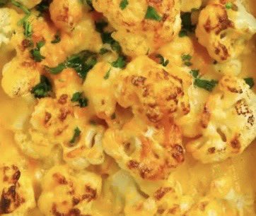 𝕎𝕙𝕚𝕤𝕜𝕖𝕣𝕤 𝕄𝕠𝕦𝕤𝕖 🧀 tweet media