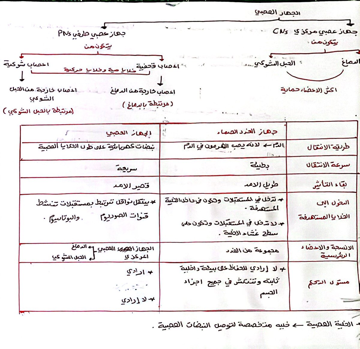 مـورفـو 🇴🇲🦋. (@5m__92) on Twitter photo 