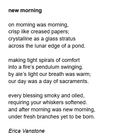 Erica Vanstone (she/her) tweet media