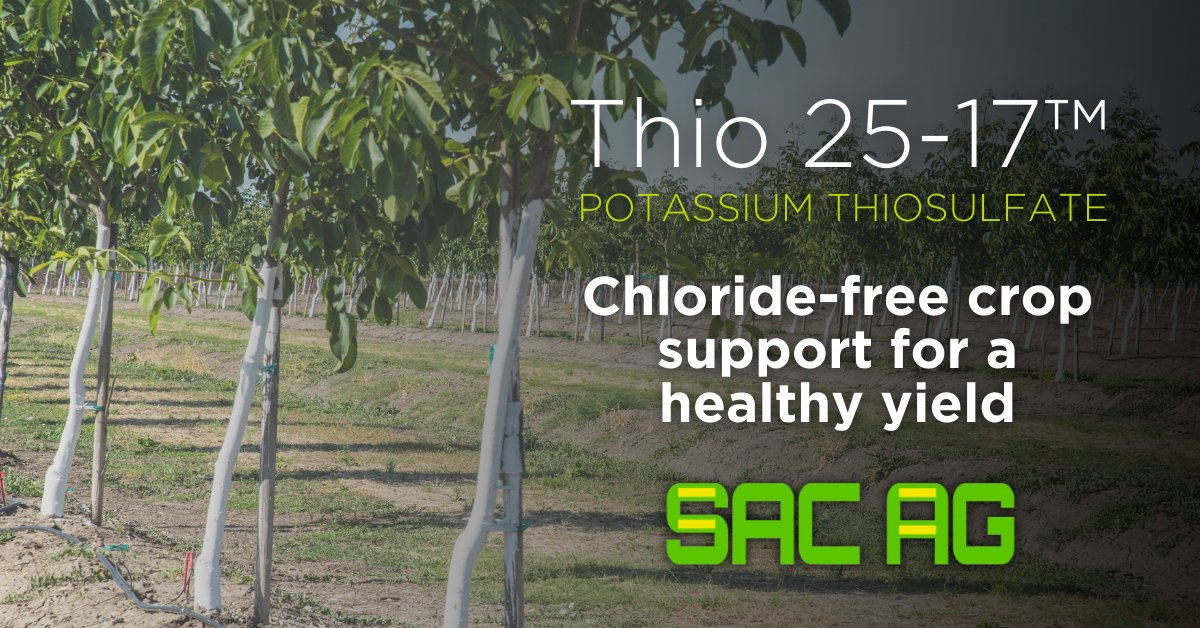 Boost crop yield potential with Potassium Thiosulfate (Thio 25-17™) 🌱 A powerful liquid source of potassium + sulfur, Thio 25-17™ helps improve nutrient uptake, enhancing plant growth and resilience. Keep up with growers' demands this season: ow.ly/yxZN50UfUcR #AgX