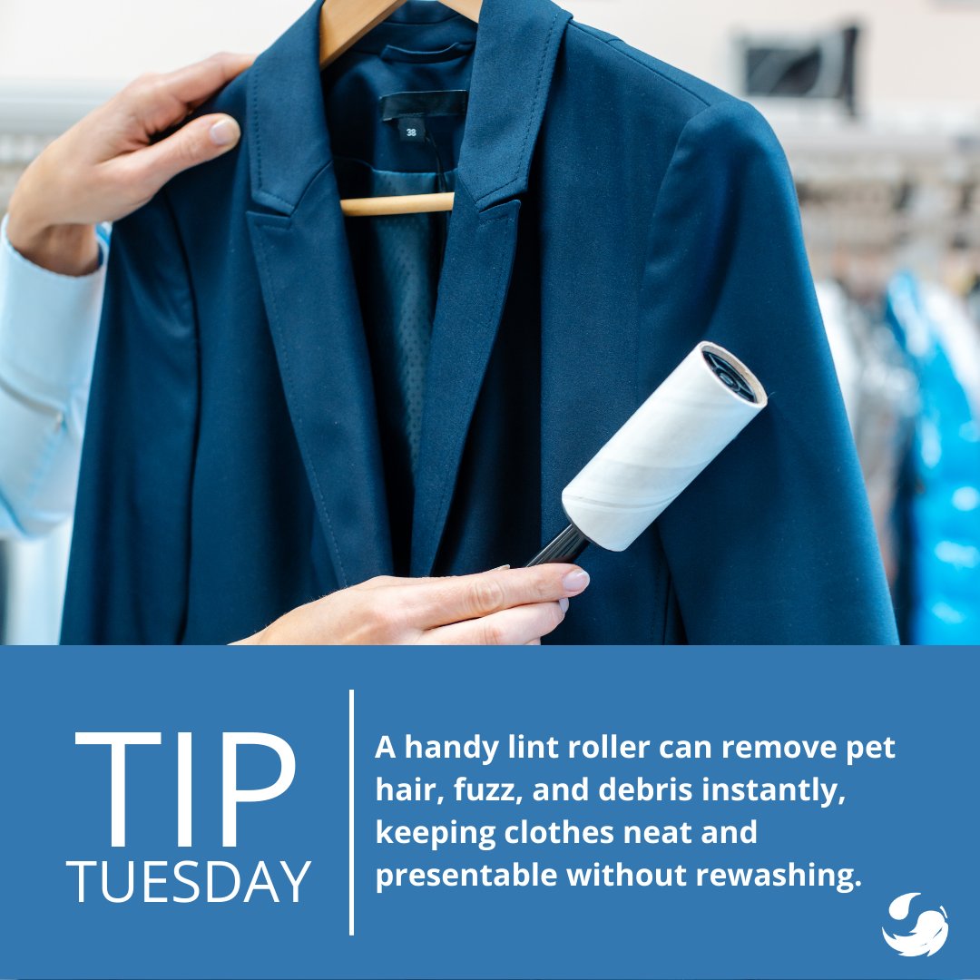 MartinizingRO's tweet image. Say goodbye to lint—roll it away in seconds! 🐾🎯 

martinizing.com/royal-oak #GreenEarthCleaning #TipTuesday