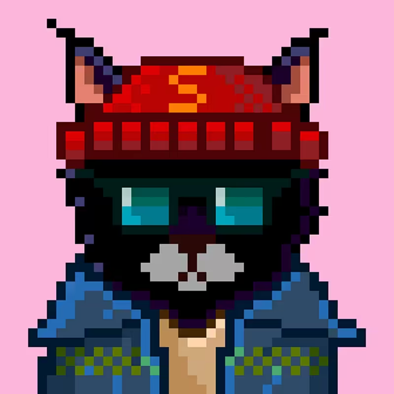 CatsumiCoin's tweet photo. Missed the SUMI NFT mint?  Let's get you geared up.  

Like / Retweet for a chance to win this $SUMI PFP. https://t.co/Bx3FPlcvw0