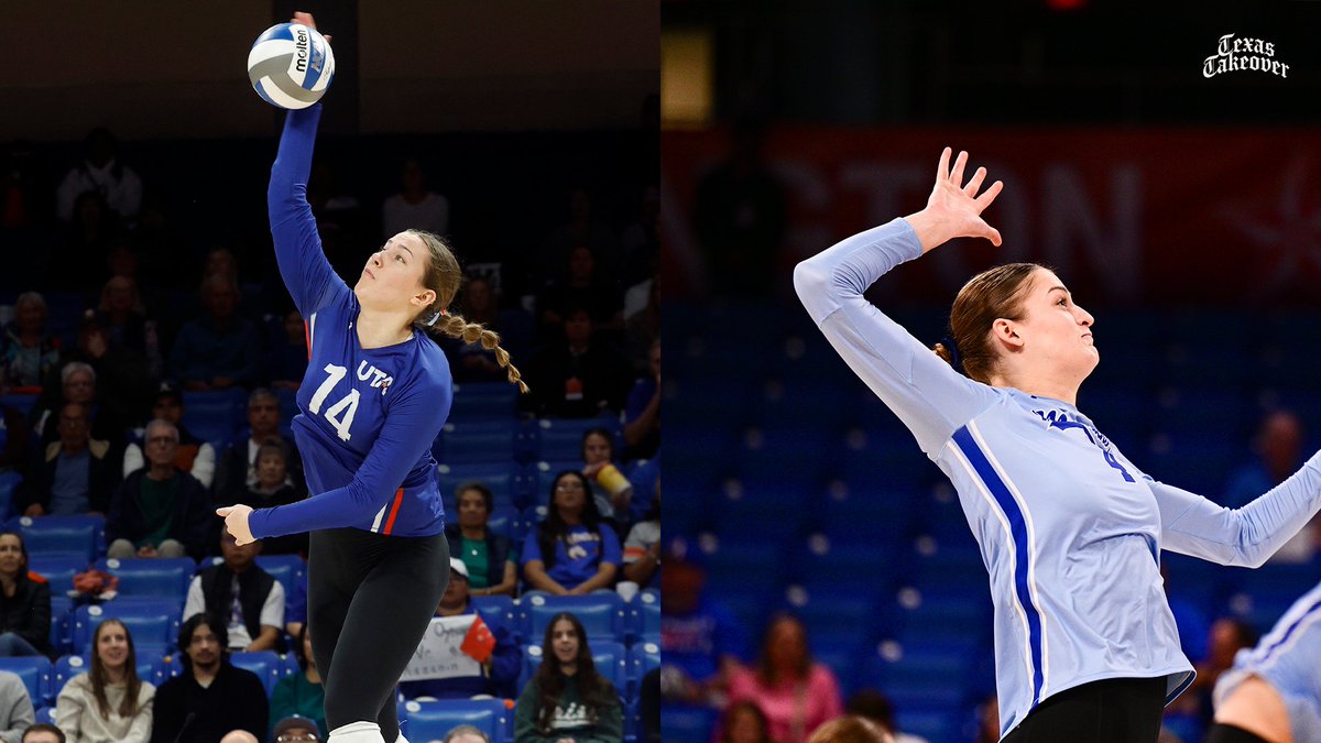 UTA Volleyball tweet media