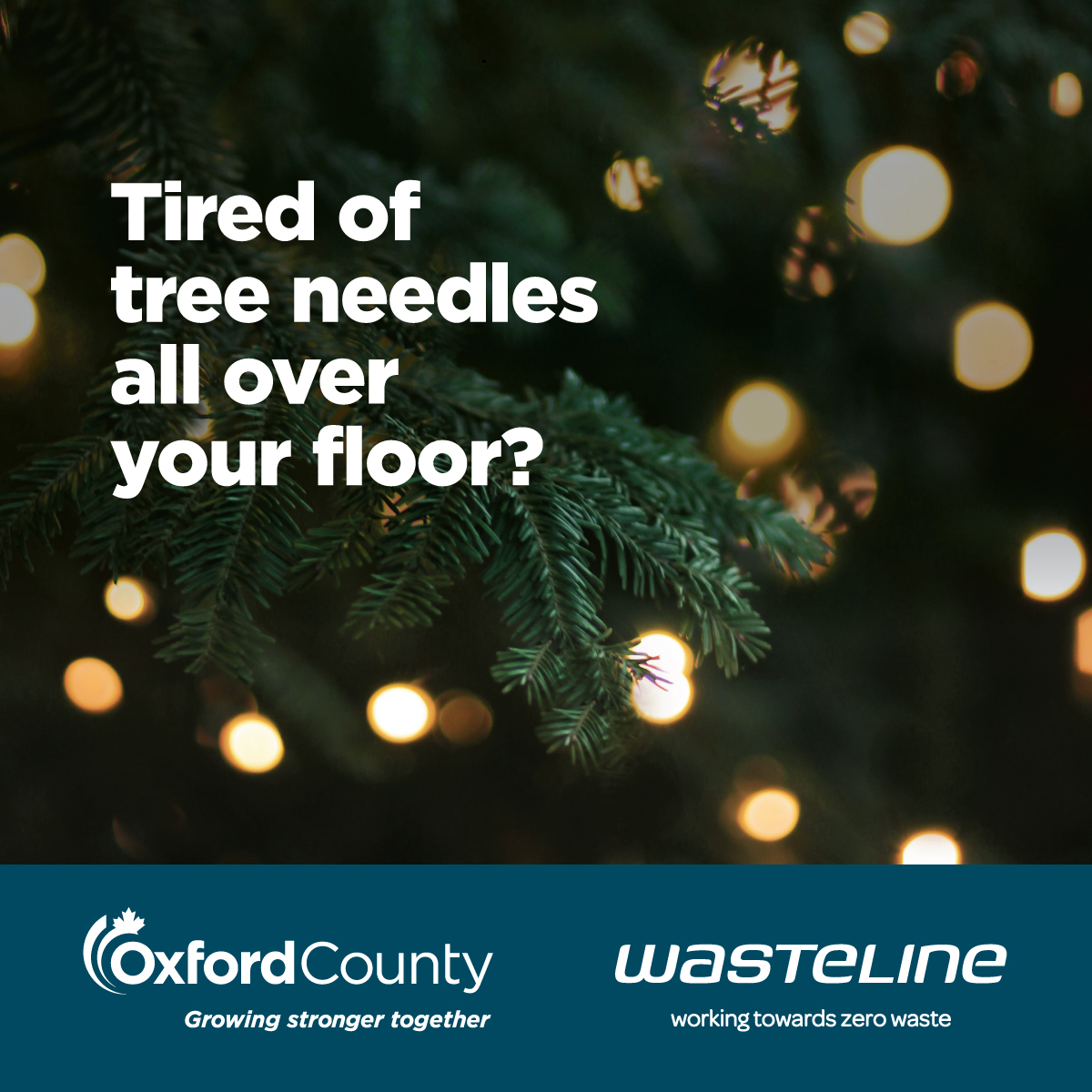 OxfordCounty's tweet image. DYK? You can dispose of natural Christmas trees at one of Oxford County’s Leaf and Yard Depots. Please remove all decorations, tinsel and plastic bags beforehand. Find a depot near you at  oxfordcounty.ca/en/services-fo…