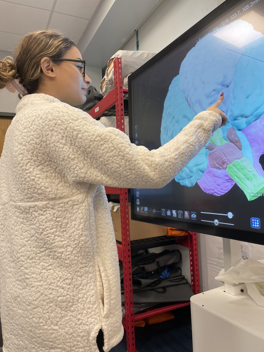 MrsTobyKlein's tweet image. Learn and Lunch to officially end the Nervous System and make connections to our next unit the Endocrine System! @MineolaUFSD @mineolahs #AnatomageTable