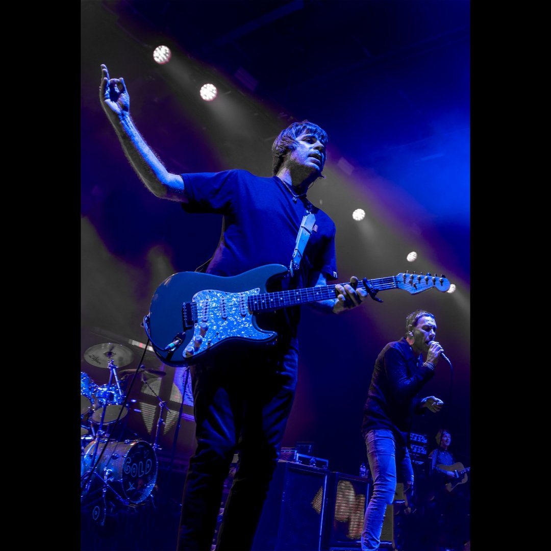 painted.papillon.smile tweet media