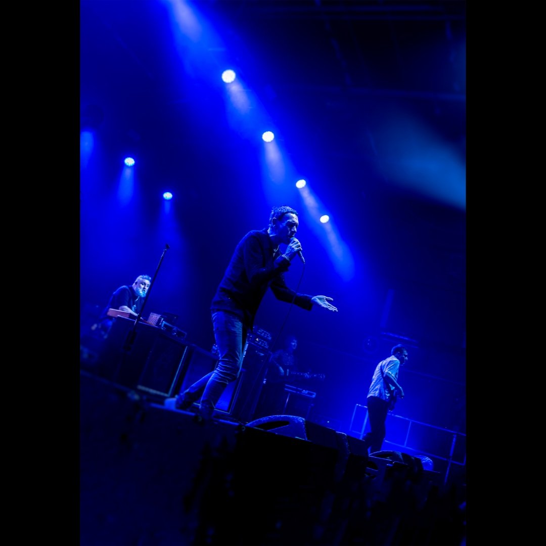 painted.papillon.smile tweet media