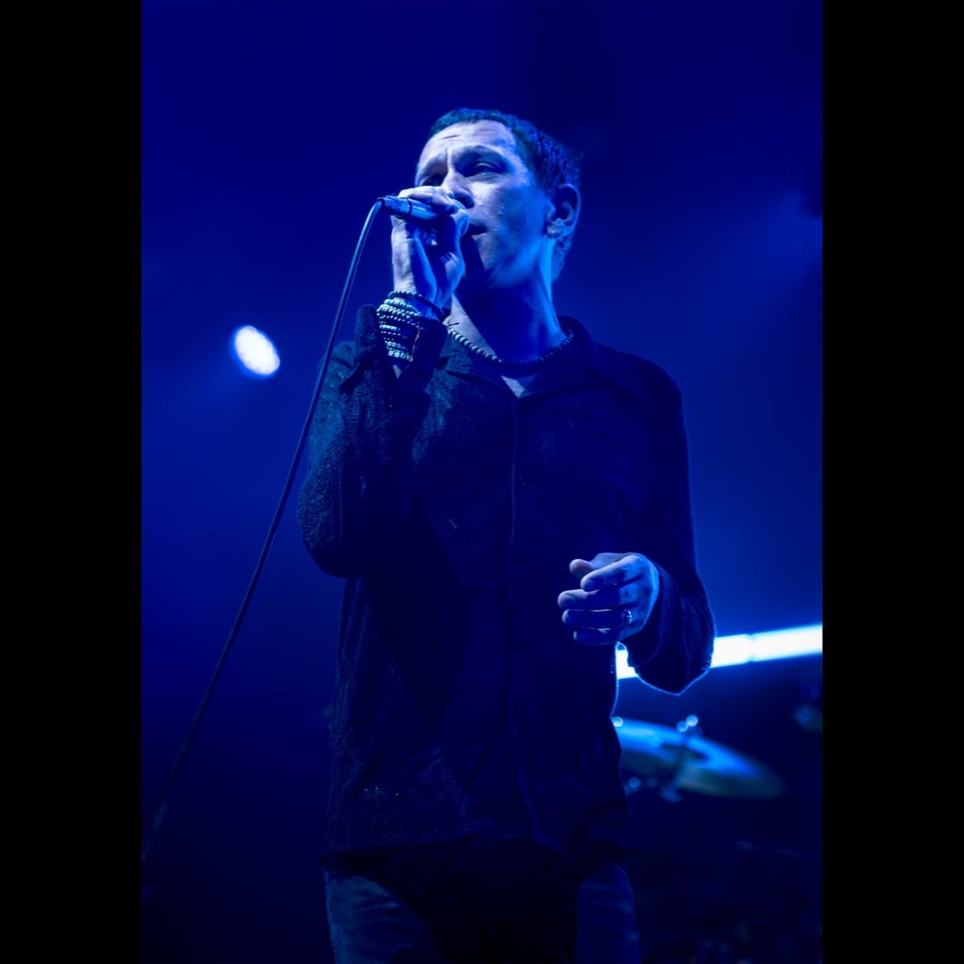 painted.papillon.smile tweet media