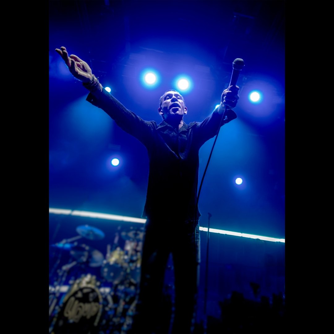 painted.papillon.smile tweet media