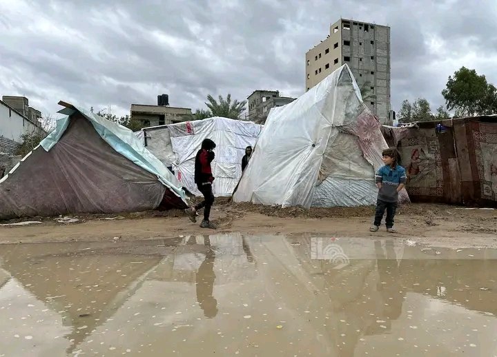 AnyHashish's tweet image. Very cold weather is hitting all the Palestinian territories, and the displaced are in tents, without food, without heating, without clothes, without shoes, without blankets, and the bitter cold is devouring them.🥶
gofundme.com/f/support-a-di…