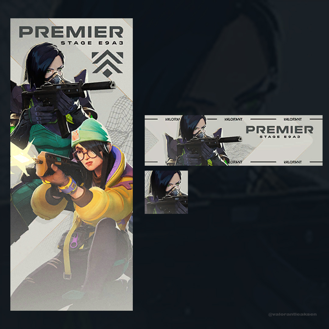 VALORANTLeaksEN's tweet photo. PREMIER E9A3 Playercard // #VALORANT https://t.co/F3dy7rfbRb