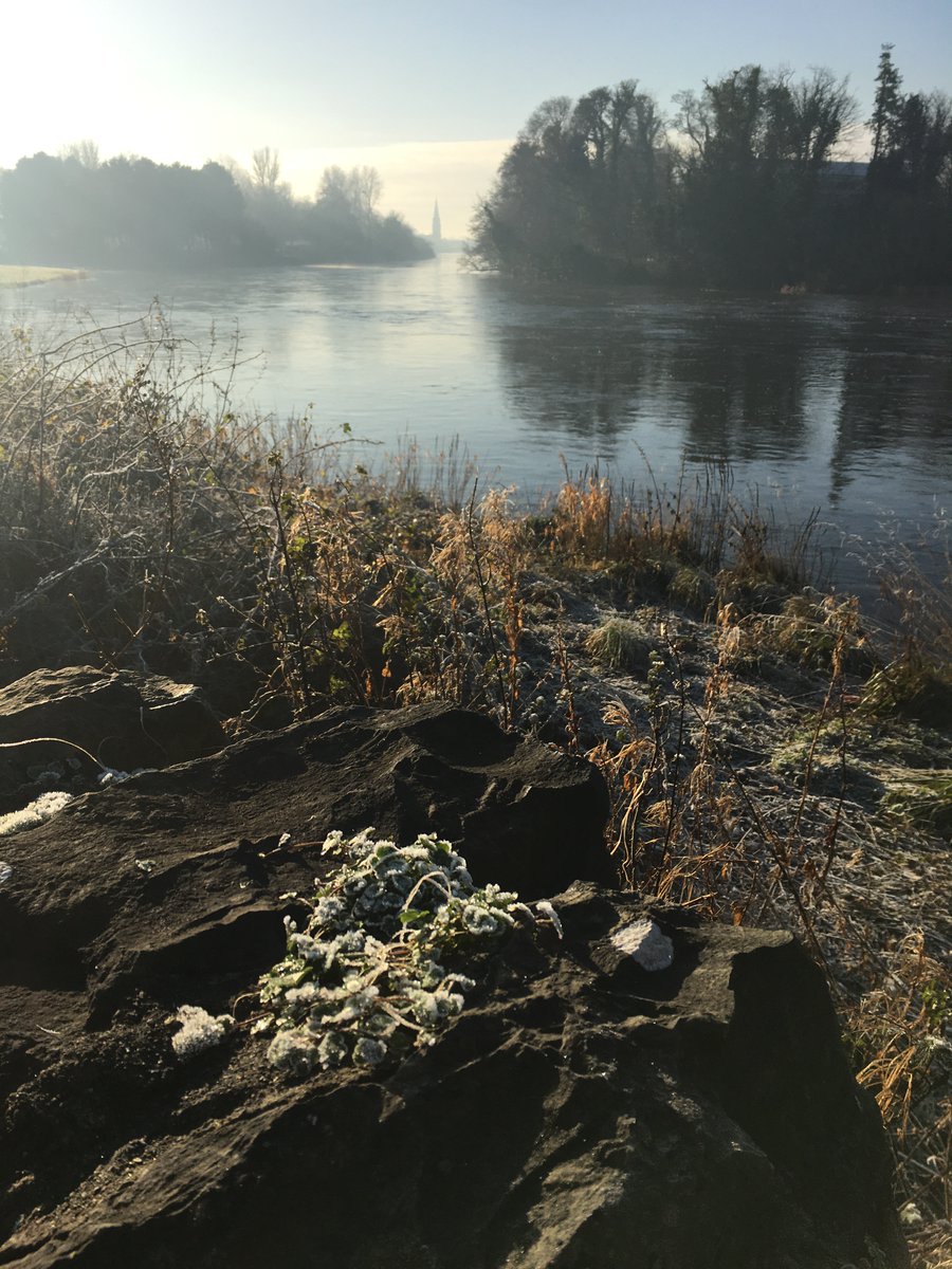 Moy Valley Resources (@moyvalleyird) on Twitter photo There was a winter wonderland in #Ballina this morning. We went for a walk to take in the season.
Hope you like the photos of a frosty, cool morning in Ballina close to river and Quay. ❄️ ❄️ 🌲 🧤 🧣 ☺️
📸: <a href="/MoyValleyIRD/">Moy Valley Resources</a> There was a winter wonderland in #Ballina this morning. We went for a walk to take in the season.
Hope you like the photos of a frosty, cool morning in Ballina close to river and Quay. ❄️ ❄️ 🌲 🧤 🧣 ☺️
📸: <a href="/MoyValleyIRD/">Moy Valley Resources</a>