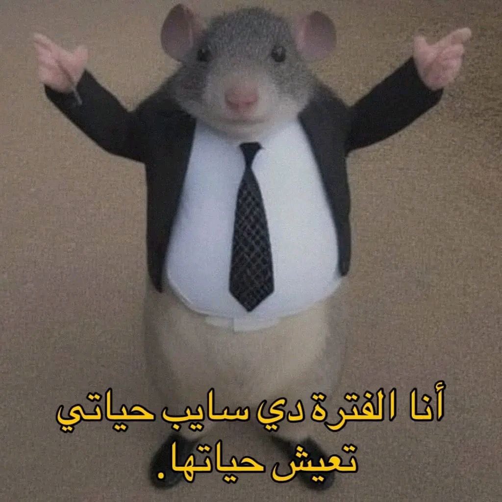 Egyptianmemees's tweet photo. حقيقة https://t.co/avdLuJrd5y