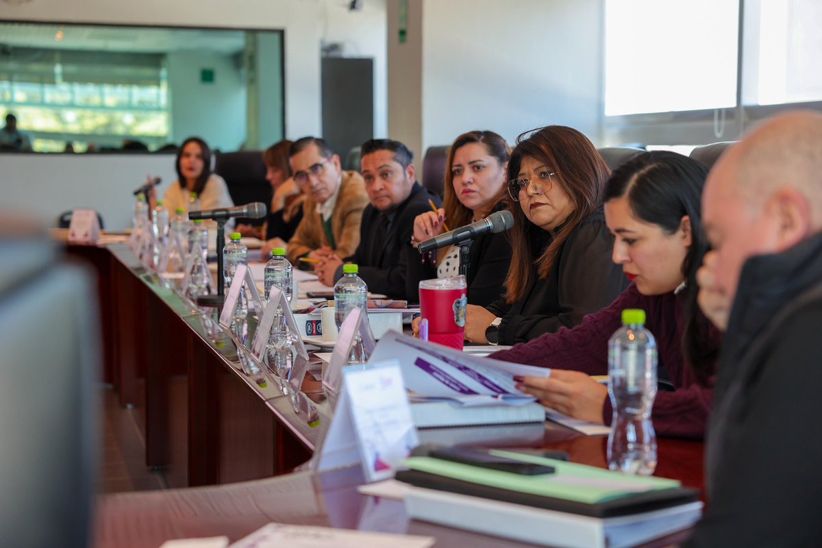 Las Consejeras <a href="/pulido_amalia/">amalia pulido</a>, <a href="/Paumelsal/">Paula Melgarejo</a>, <a href="/Paty_Lozano_/">Patricia Lozano</a>, <a href="/karina_vaquera/">Karina Vaquera</a>, <a href="/Sayonara_Flores/">Sayonara Flores Palacios</a>, <a href="/julyarmpaulino/">Dra. July Erika Armenta Paulino</a> y <a href="/AngeliVieyra/">Angeli</a> se encuentran en reunión de trabajo con las y los titulares de las distintas unidades y direcciones del IEEM, sobre la proyección de actividades de 2025.