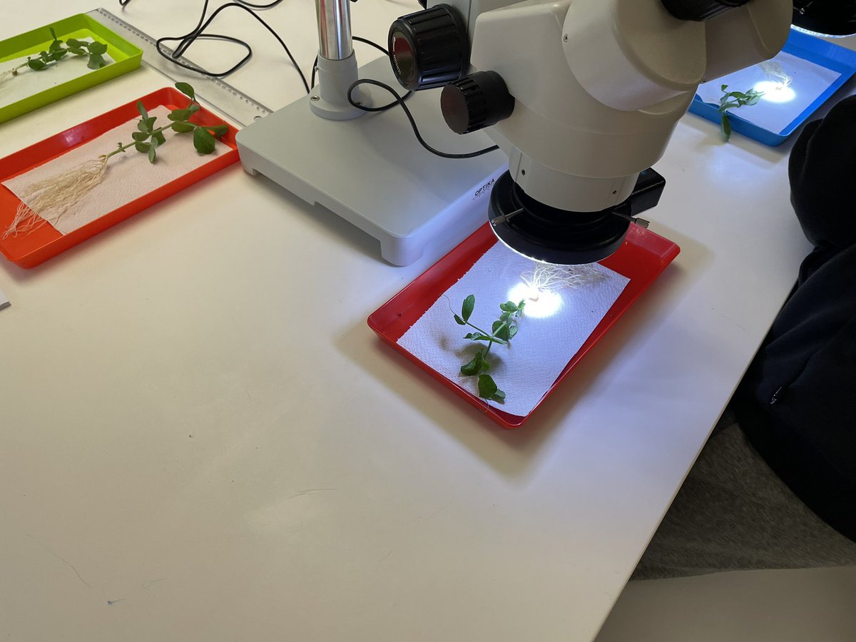 MISS_sciences tweet media