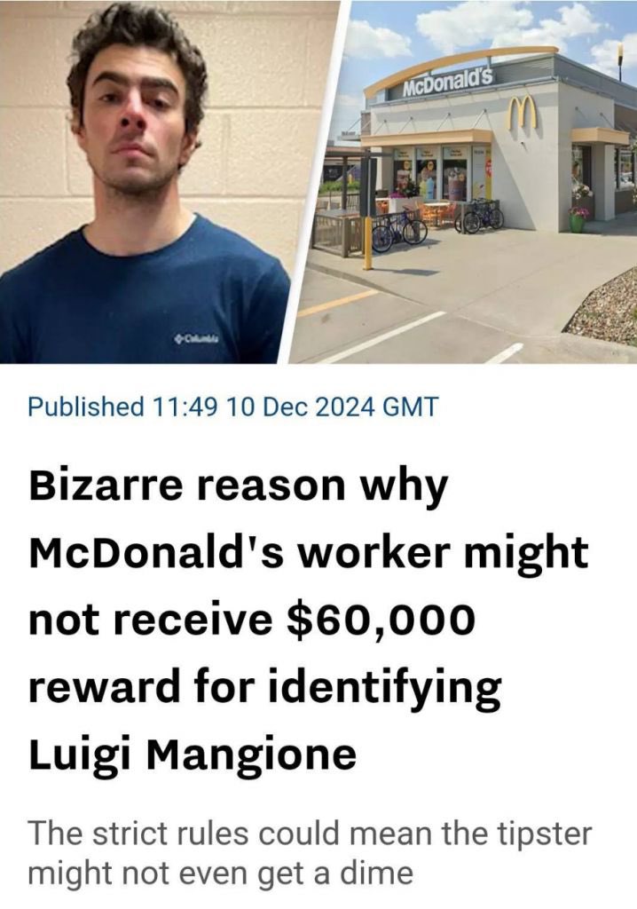 ZVR09's tweet image. And just like that, nobody attempted to turn in a public bounty ever again. #LuigiMangione