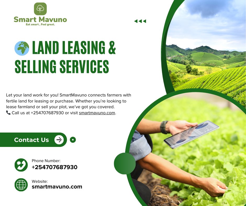 SmartMavuno's tweet image. 🌾 Need farmland? Have land to lease? 🌾
SmartMavuno connects landowners and farmers for sustainable growth. Lease, sell, or find your ideal farming land today!
👉 Learn more: smartmavuno.com
#SmartMavuno #LandLeasing