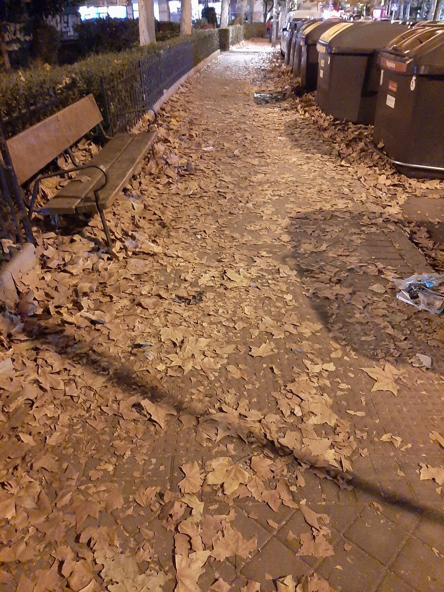 AVLaUnion's tweet photo. Más de 1 semana sin limpiar
C/Santa Susana,41-43 (fotos)
Ojalá no llueva,esto es caldo de cultivo para caídas, atascos de alcantarilla
Este ayuntamiento no aprende🍂🍁🍂🍁
@MADRID @Lineamadrid #SYRLM
Limpieza de los barrios ya!!
@FRAVM @HortalezaPV
@AlmeidaPP_ @GrupoPPMadrid https://t.co/8EShH9TYEh