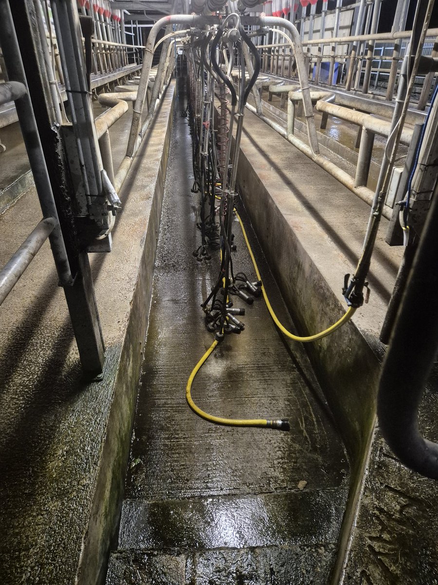 davidkerr67's tweet photo. Down tools #teamdairy #sioc https://t.co/pc1rvFDIlp