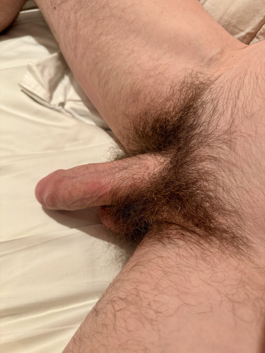 hairybushbator (@hairybushbator) on Twitter photo 