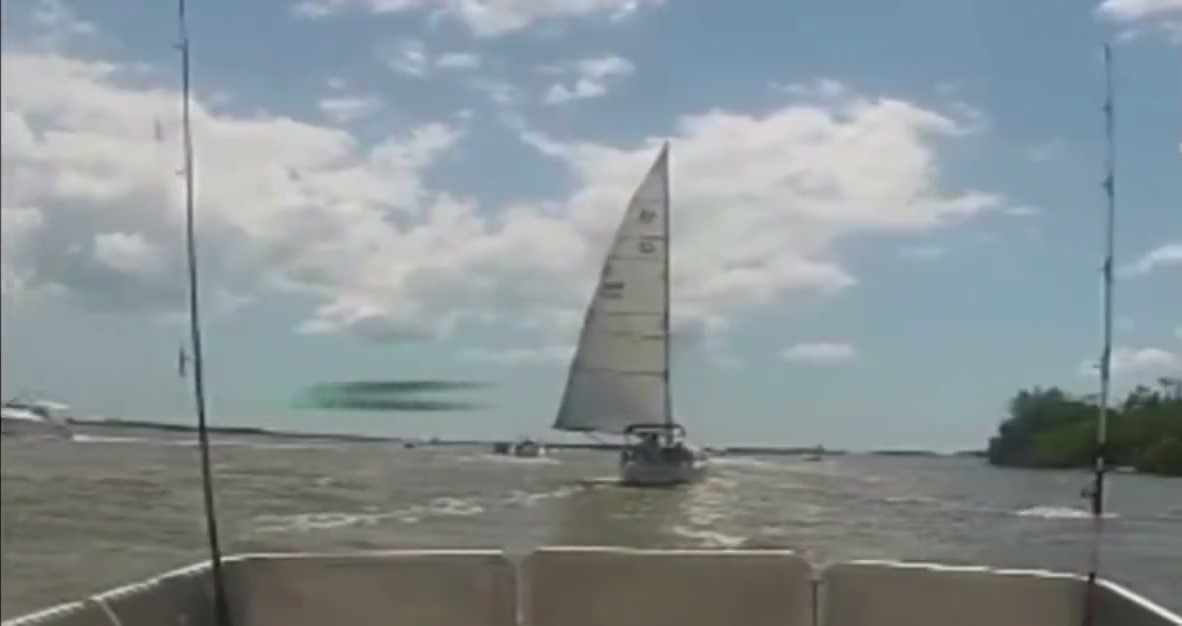 UFO mania tweet media