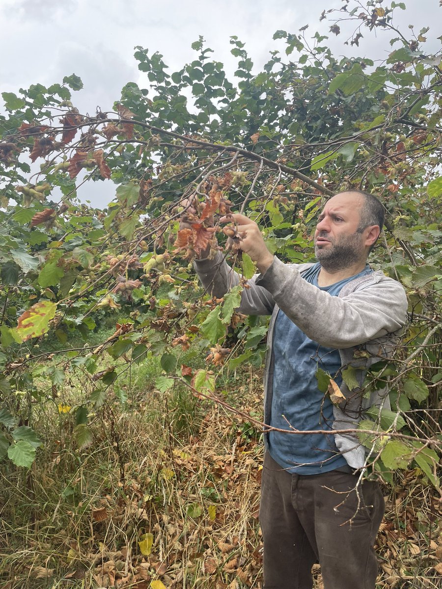 fatihcolak19831's tweet photo. Tekrar ekilemeyen tohum, topraksız tarım, doğal ineksiz süt. Sırada ne var ruhsuz insan mı? https://t.co/63EbxDv90J