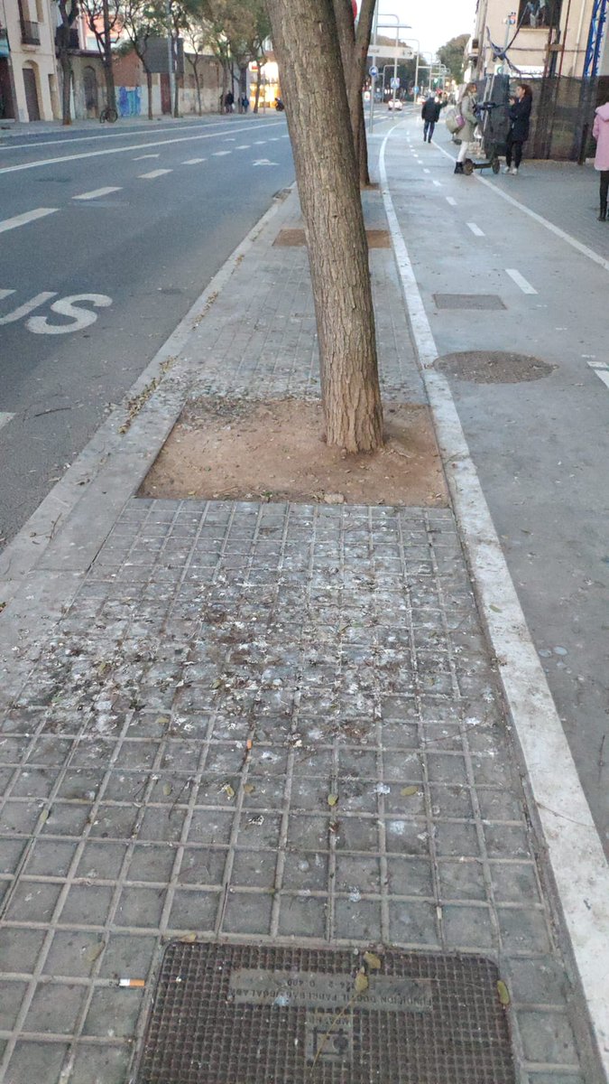 ERCViladecans's tweet photo. 🟡 [VIA PÚBLICA] Tot i que el govern local diu que només n'hi ha 500, a #Viladecans tenim un problema amb els #coloms 😷 En diversos carrers provoquen molèsties i brutícia. Davant la inacció de l'Ajuntament, insistim en el control de la població amb pinso anticonceptiu #FemBarri https://t.co/RRXeps6V1T