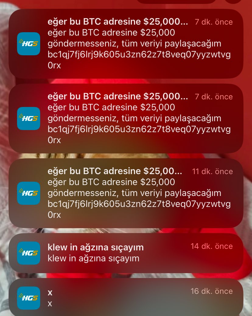 ⁦⁦<a href="/PttTeknoloji/">PTT Teknoloji</a>⁩ bi bakın isterseniz :)