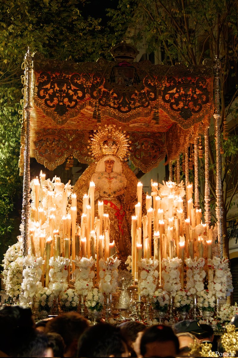 dposadaq's tweet photo. "Rosa de San Gil"

#Sevilla #Macarena https://t.co/SF4MQPaFE0
