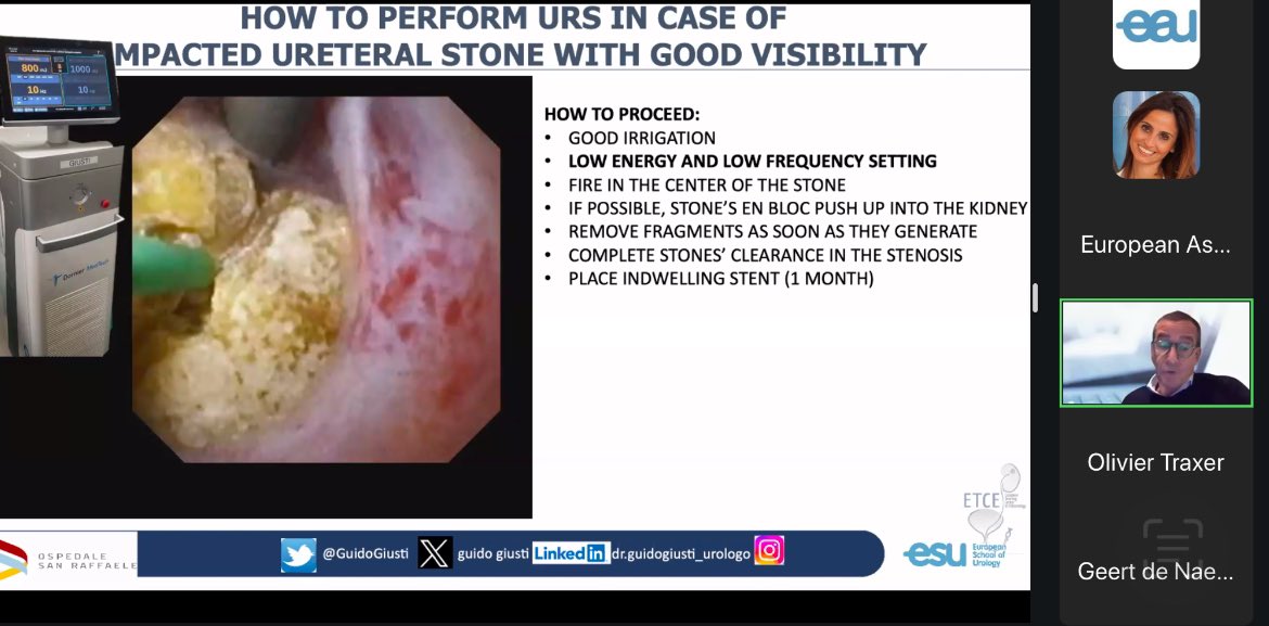 Silvia Proietti tweet media