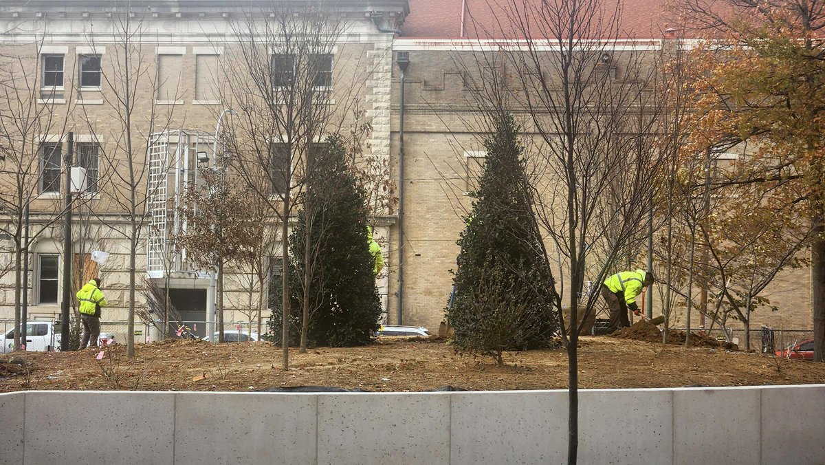 Urban Design Studio (@udstudiolou) on Twitter photo Work on the Trager MicroForest is wrapping up to make way for the holidays and cold weather. Looking forward to completing Phase 1 in early 2025 with more than 60 additional trees, 100s of shrubs and final touches on the paths and lighting. Happy New Year!
udstudio.org/stories/tmfp-w… Work on the Trager MicroForest is wrapping up to make way for the holidays and cold weather. Looking forward to completing Phase 1 in early 2025 with more than 60 additional trees, 100s of shrubs and final touches on the paths and lighting. Happy New Year!
udstudio.org/stories/tmfp-w…