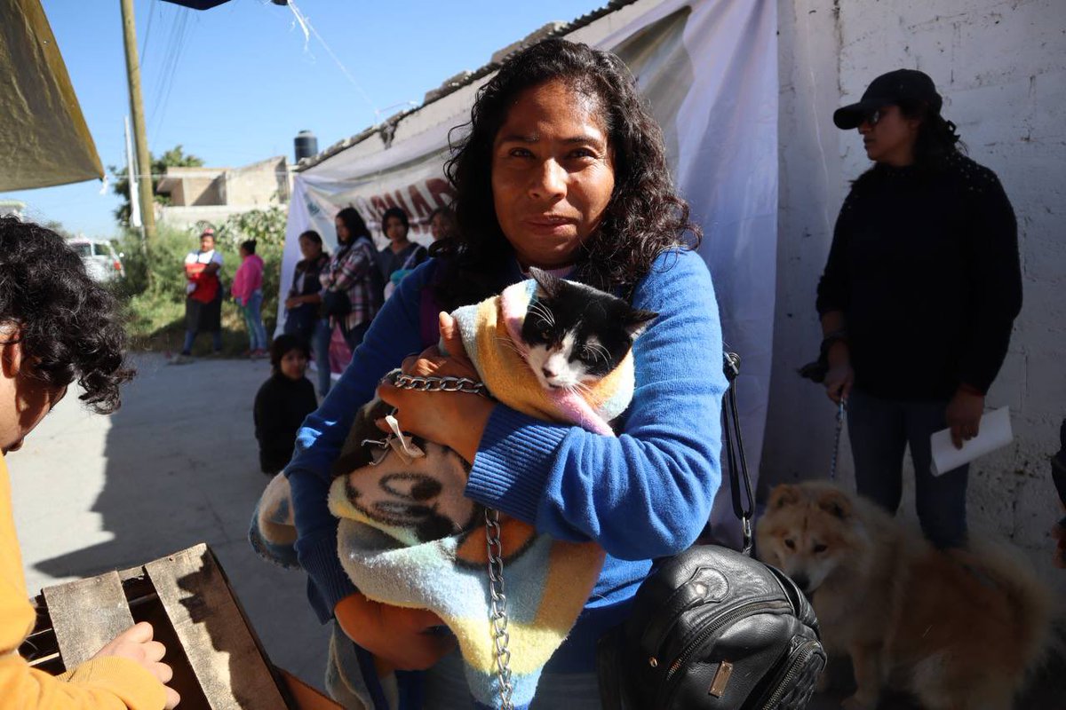 🐶🐾 En el marco del “Día Internacional de los Derechos de los Animales”, en la Col. Ampliación #GuadalupeHidalgo llevamos a cabo la Jornada de Esterilización Gratuita en colaboración con la Asociación “Mestizos Sin Fronteras”, integrante del <a href="/MovimientoAP/">Movimiento Animalista de Puebla</a>.

En