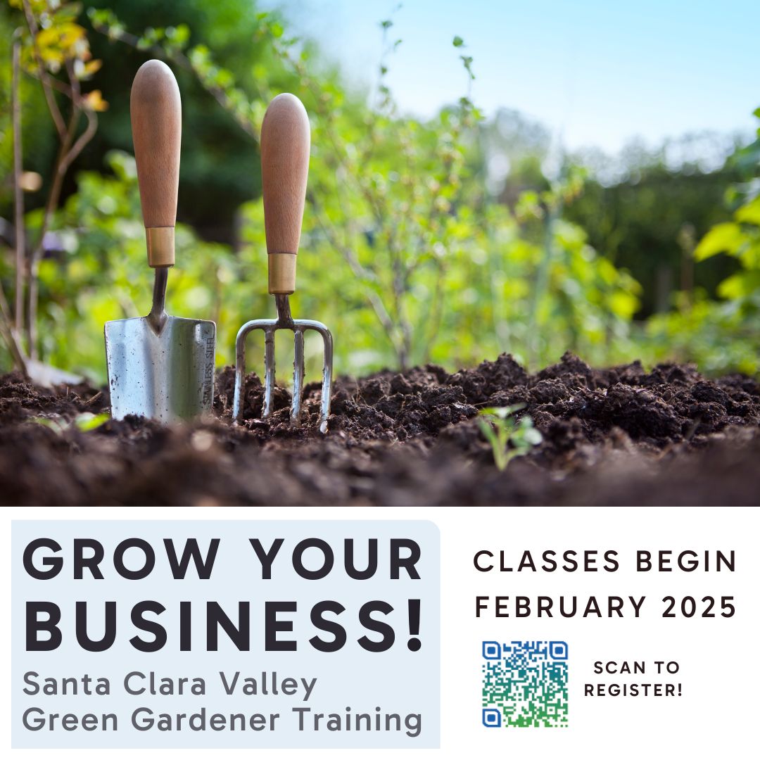 CleanCreeks's tweet photo. Landscape professionals! The Santa Clara Valley Green Gardener In-Person Training starts February 5, 2025. Learn integrated pest management, soil management, and irrigation techniques. Register now! https://t.co/6RshrS0lwT https://t.co/QgXmdAWLJI