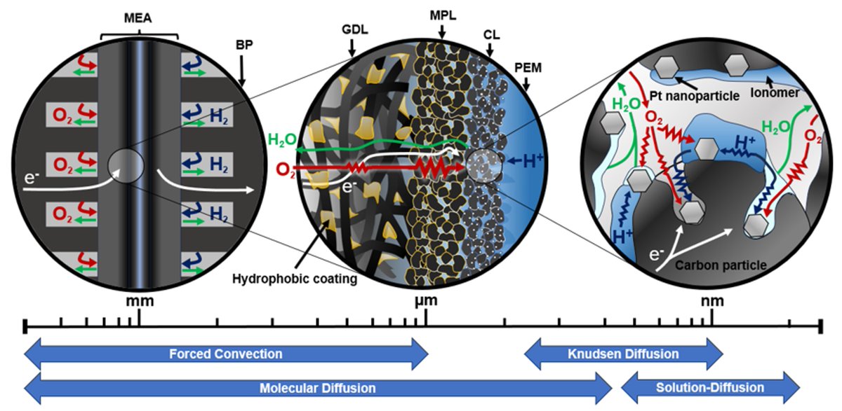 📜 Our latest paper is out in Current Opinion in Chemical Engineering! 
Rens Horst dives into the latest advancements in electrode (catalyst layer) design and synthesis for polymer electrolyte fuel cells. We also share our perspective on promising future directions of this field