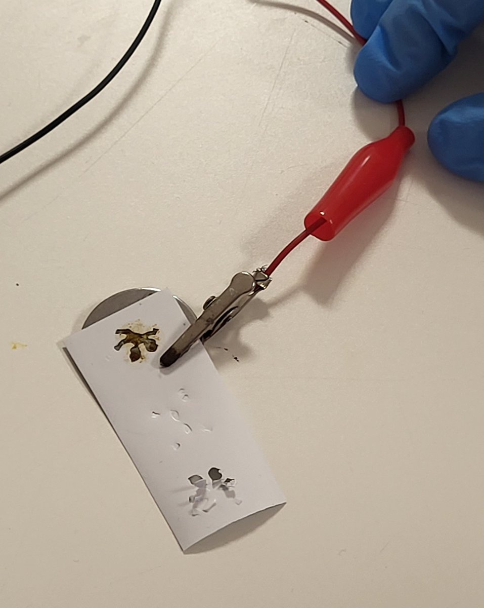 STEM Discovery Centre tweet media