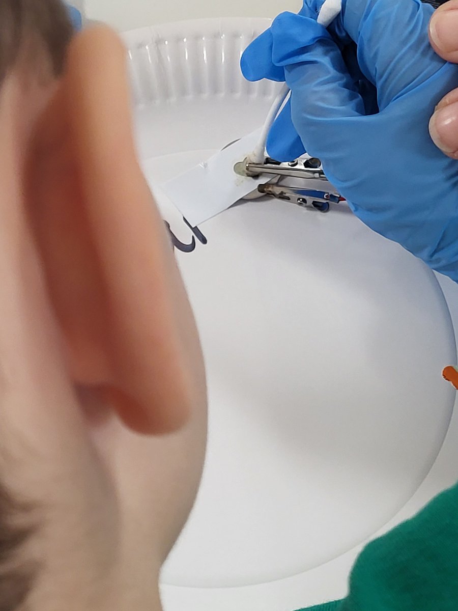 STEM Discovery Centre tweet media