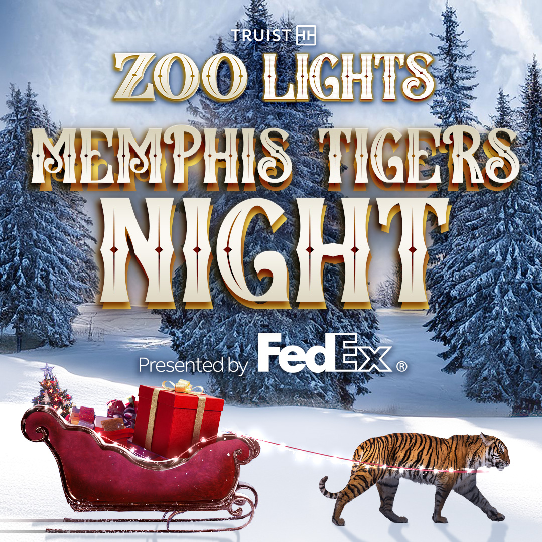 Memphis Zoo tweet media