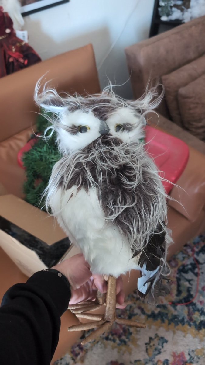 I ended up with this wittle guy at the end of #MFF2024 and hims name is hooty and looks forward to exploring more cons..... No telling where he may fly to next!!! #hootytheconowl let's make this trend last!!!