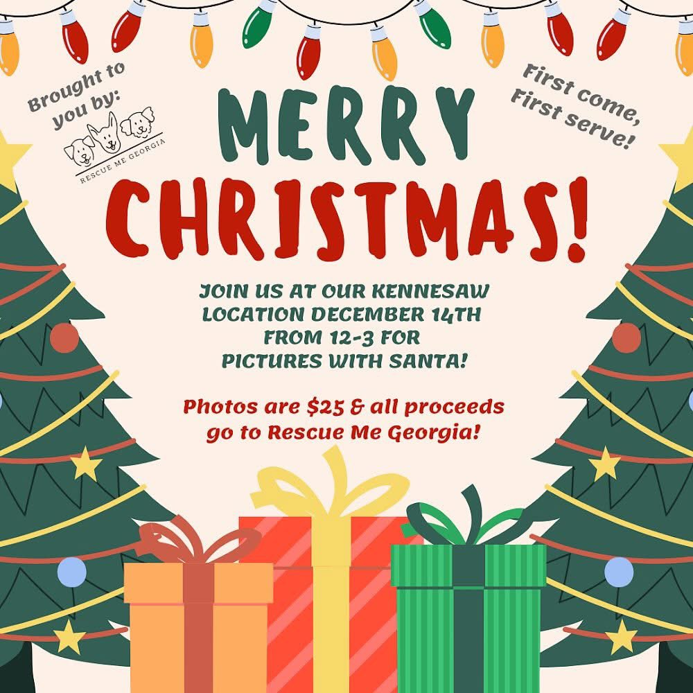 Don’t forget to come see us this Saturday