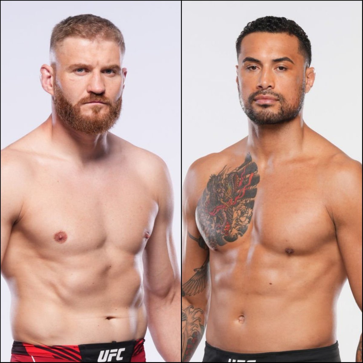 Marcel Dorff 🇳🇱🇮🇩 tweet media