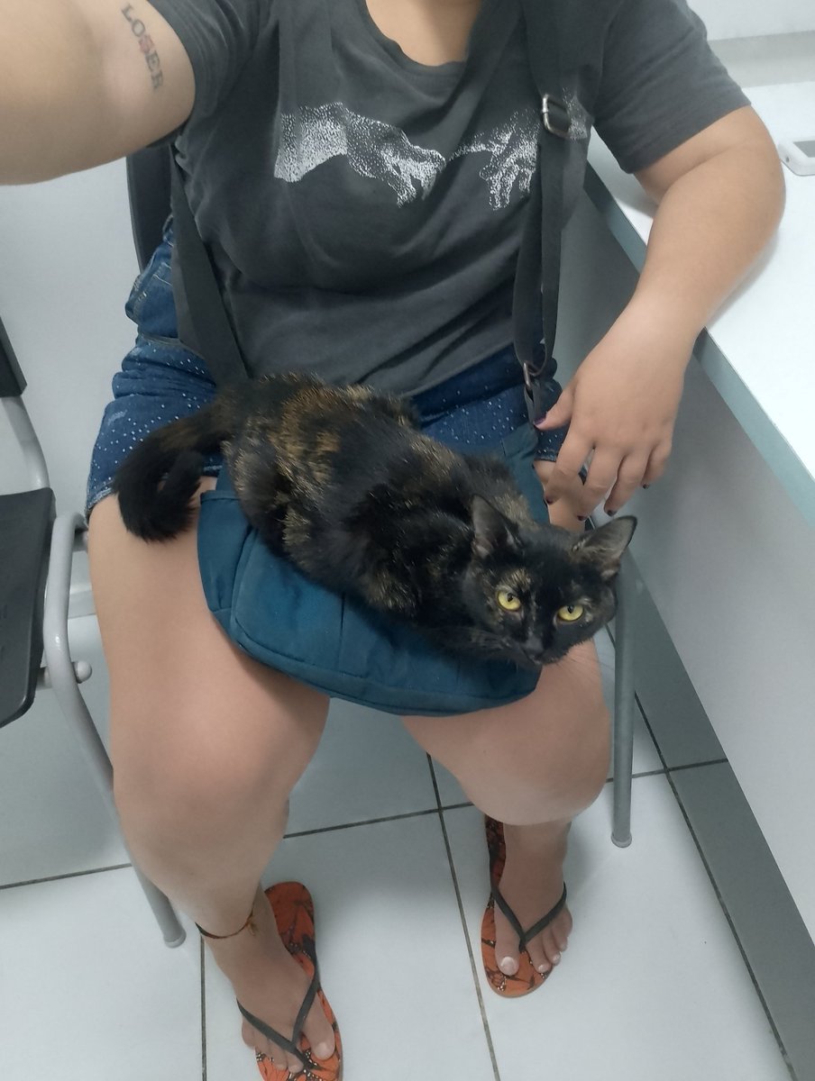 NeroUndead's tweet photo. Hey guys, I don't usually talk much, much less about my personal life, I had closed Commissions to rest at the end of the year, but unfortunately my kitten (Yubel) has FeLV and is hospitalized at the moment, the cost of the vet is very high so I'm going back to work to pay all. https://t.co/xeLjyO2X82